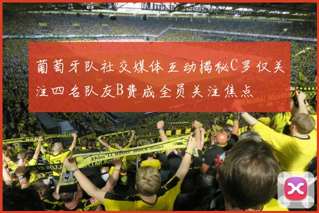 葡萄牙队社交媒体互动揭秘C罗仅关注四名队友B费成全员关注焦点
